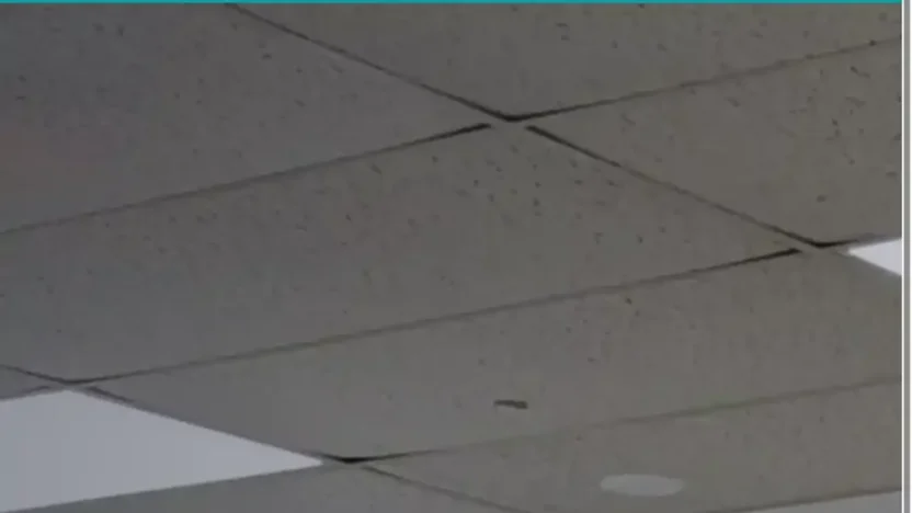 Screenshot of Liquidation scam website "Palletliquidationexperts.com"