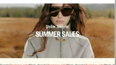 Screenshot of Non-Delivery scam website "Palmsale.shop"