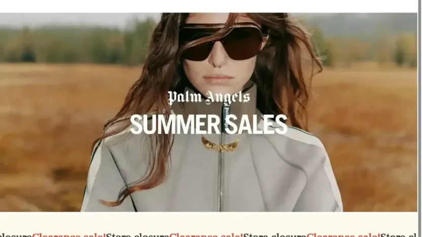 Screenshot of Non-Delivery scam website "Palmsale.shop"