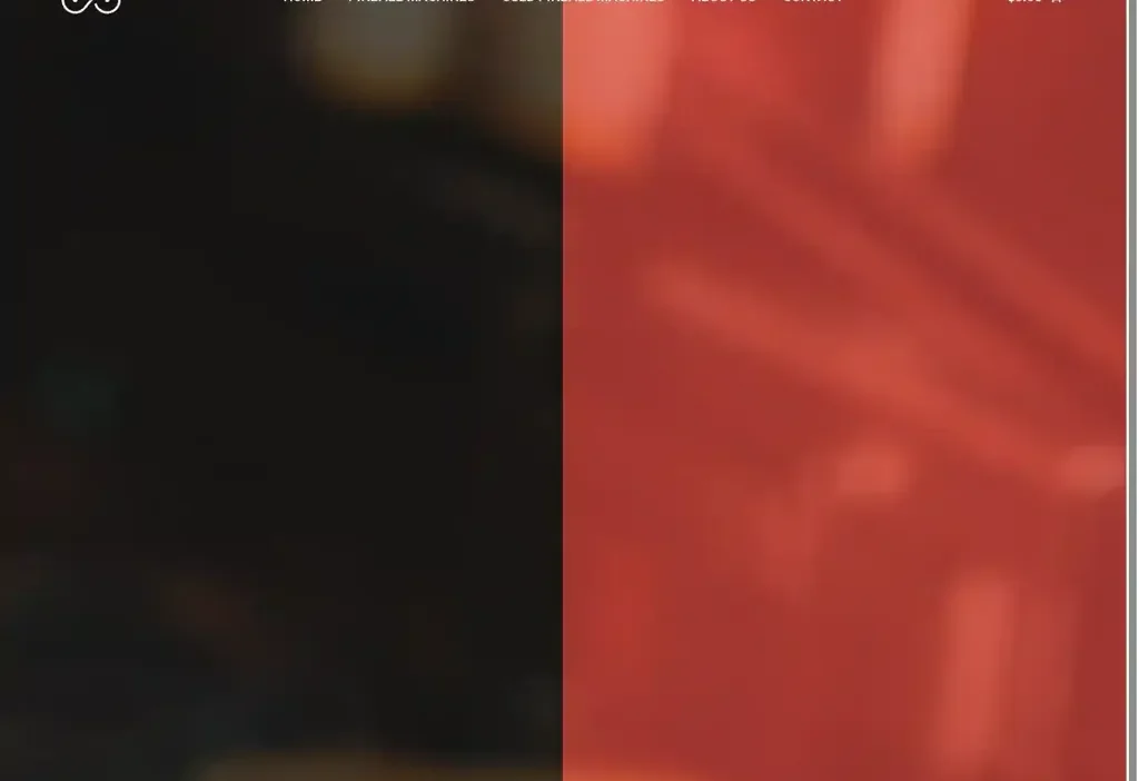 Screenshot of Non-Delivery scam website "Pinballplayhouse.com"