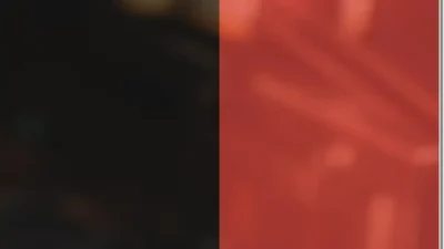 Screenshot of Non-Delivery scam website "Pinballplayhouse.com"