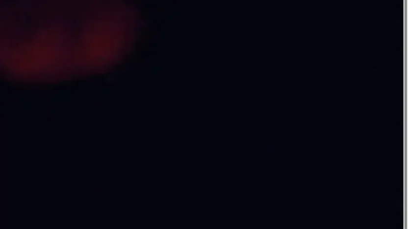 Screenshot of Non-Delivery scam website "Pins4ballsmachine.com"