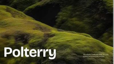 Screenshot of Non-Delivery scam website "Polterry.shop"