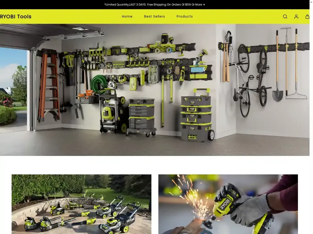 Screenshot of Non-Delivery scam website "500 Internal Server Error"