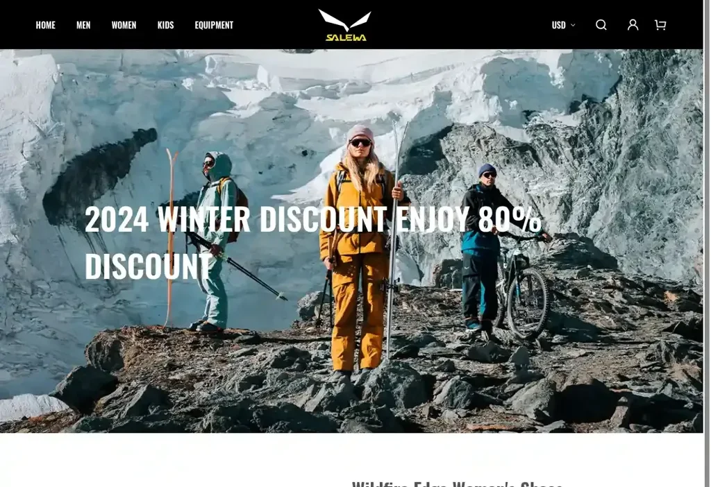 Screenshot of Non-Delivery scam website "Selallys.com"