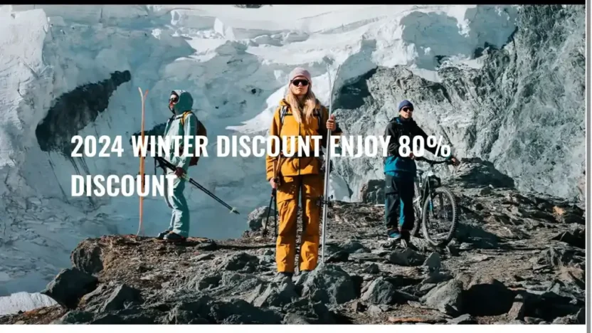 Screenshot of Non-Delivery scam website "Selallys.com"