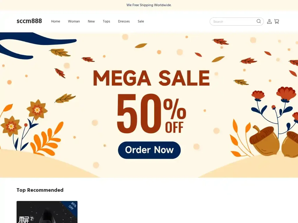 Screenshot of Non-Delivery scam website "500 Internal Server Error"