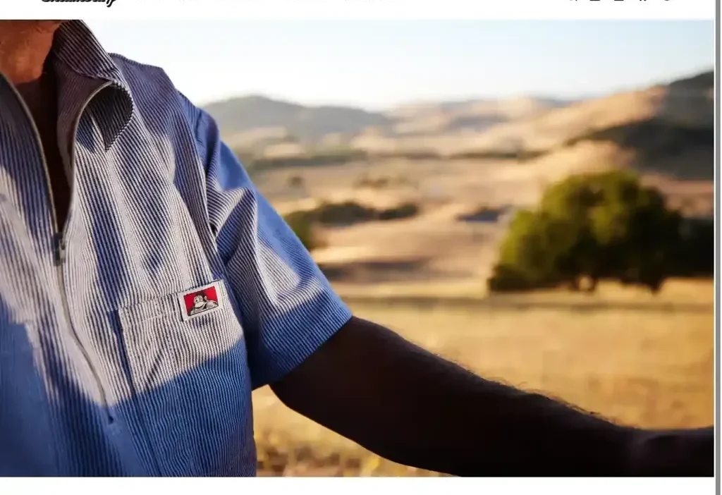 Screenshot of Non-Delivery scam website "Shuimouty.com"