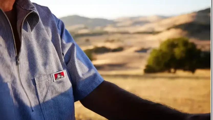 Screenshot of Non-Delivery scam website "Shuimouty.com"