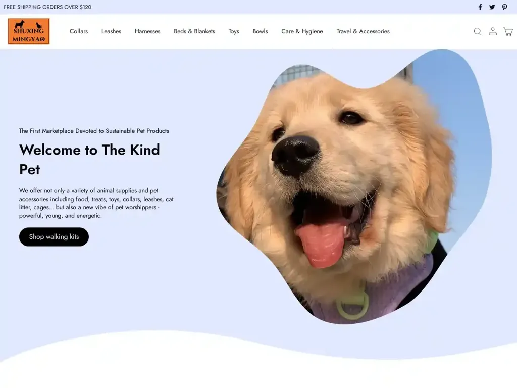Screenshot of Non-Delivery scam website "500 Internal Server Error"