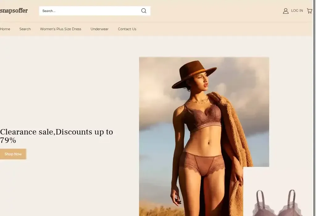 Screenshot of Non-Delivery scam website "Snapsoffer.com"