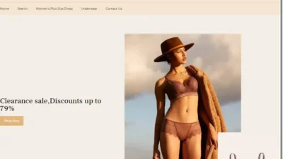 Screenshot of Non-Delivery scam website "Snapsoffer.com"