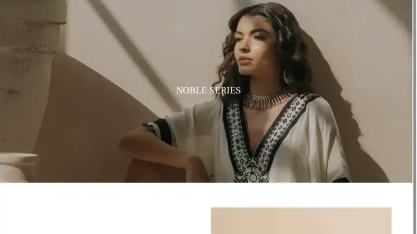 Screenshot of Non-Delivery scam website "Soile.shop"