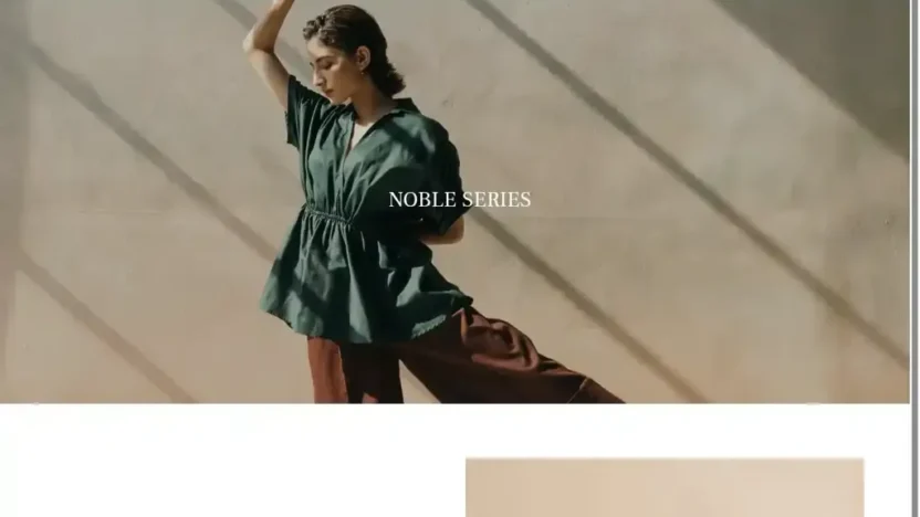 Screenshot of Non-Delivery scam website "Specializedshop-ue.com"