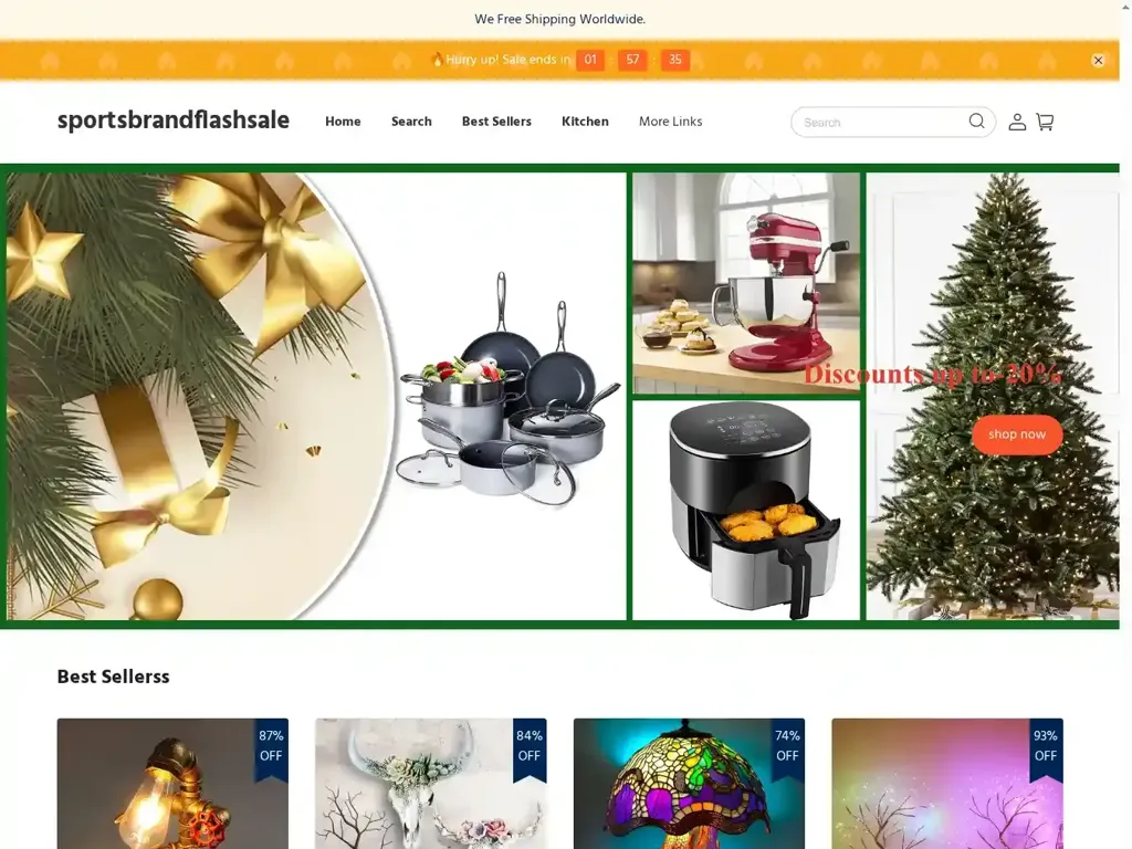 Screenshot of Non-Delivery scam website "500 Internal Server Error"