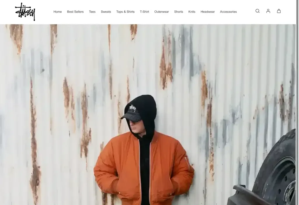 Screenshot of Non-Delivery scam website "Stussyshopping.com"