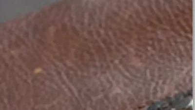 Screenshot of Non-Delivery scam website "Tadaonlinetrade.com"