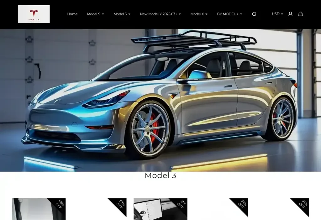 Screenshot of Non-Delivery scam website "Teslaaccessoriess.com"