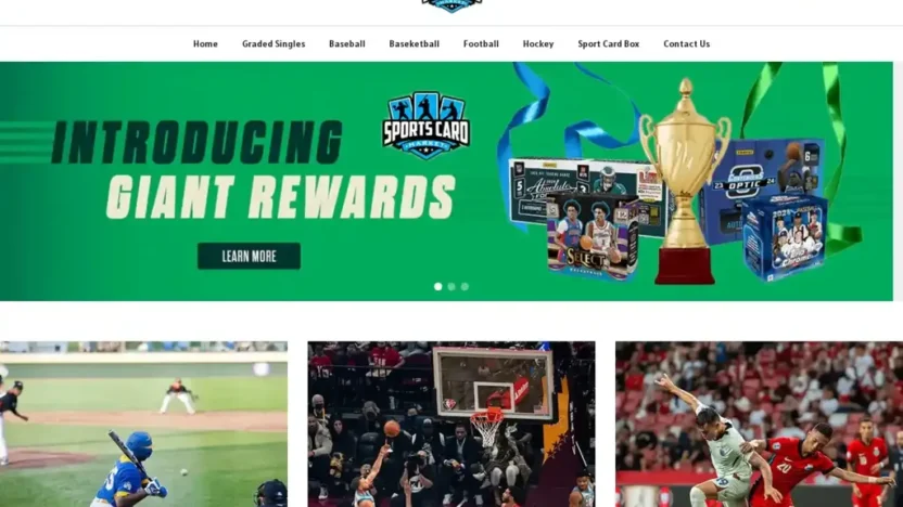 Screenshot of Non-Delivery scam website "Toyvergesale.com"