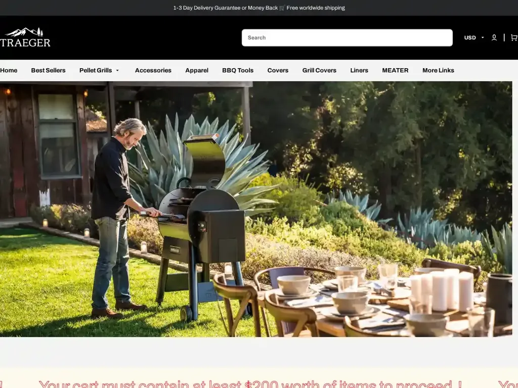 Screenshot of Non-Delivery scam website "500 Internal Server Error"