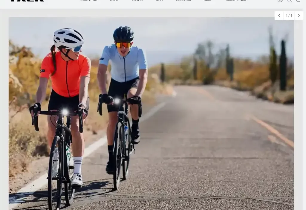 Screenshot of Non-Delivery scam website "Trekshop.shop"