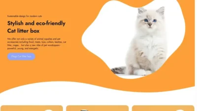 Screenshot of Non-Delivery scam website "Us-stmpus.shop"