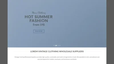Screenshot of Non-Delivery scam website "Vintageclothingwholesalesuppliers.com"