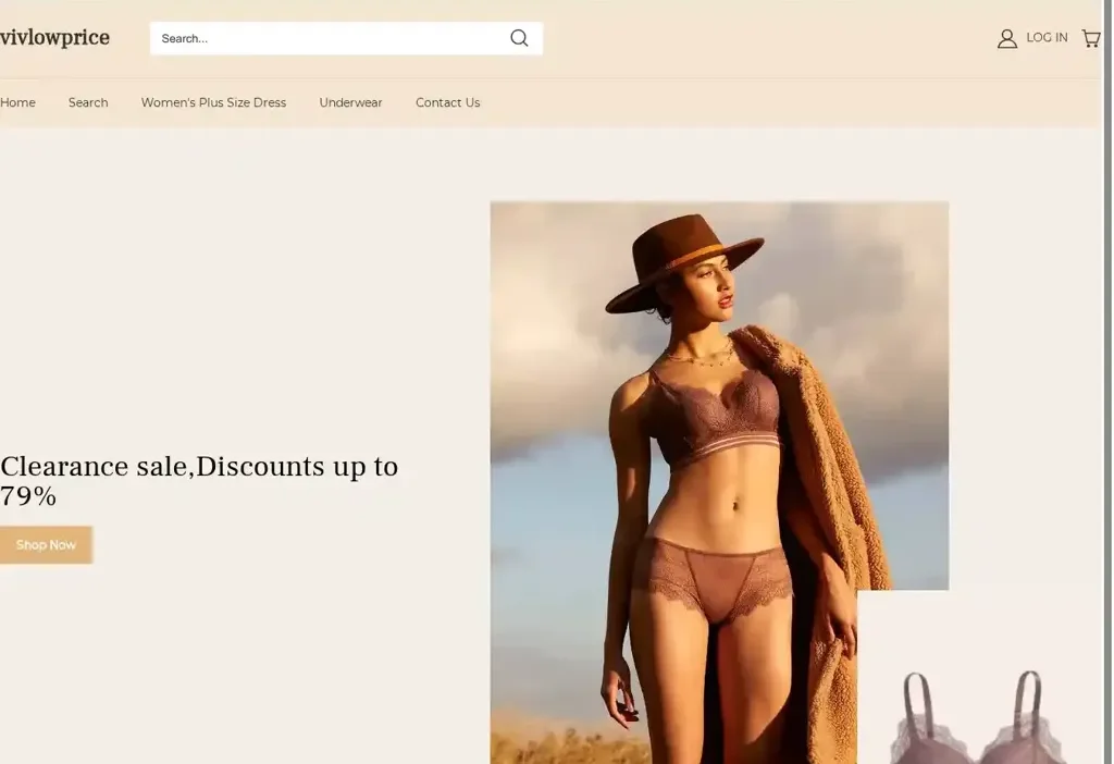 Screenshot of Non-Delivery scam website "Vivlowprice.com"