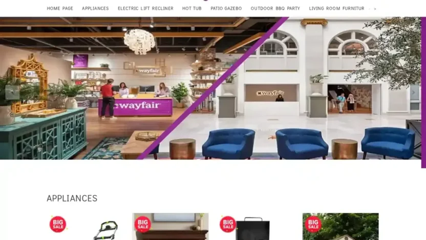 Screenshot of Non-Delivery scam website "Wayvip-us.com"