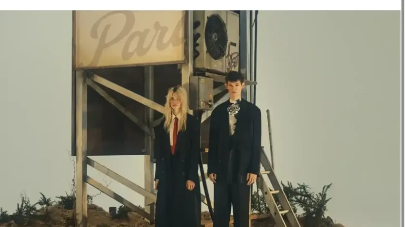 Screenshot of Non-Delivery scam website "Wooyoungmisshop.com"