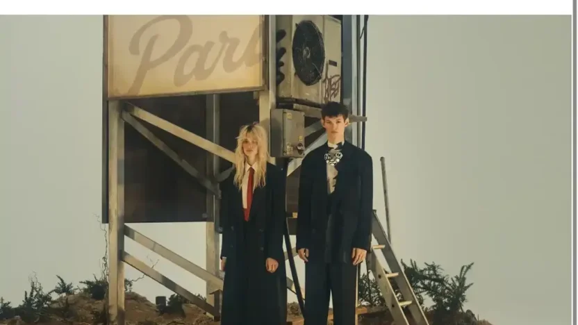 Screenshot of Non-Delivery scam website "Wooyoungmisvip.shop"