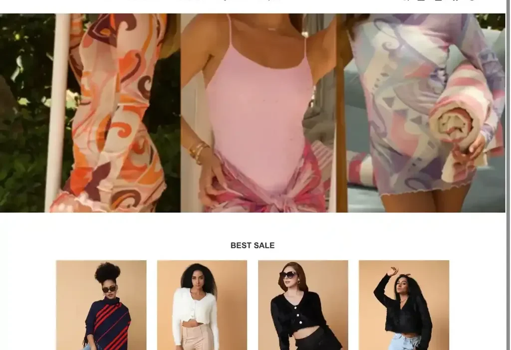 Screenshot of Non-Delivery scam website "Zebralimi.com"