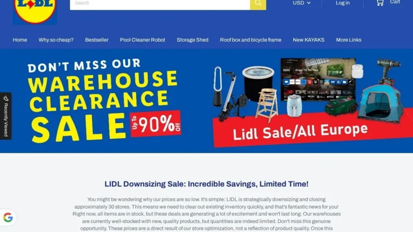 Non-Delivery Scam 2025blackfridaysale.shop