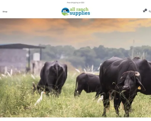 Screenshot of Non-Delivery Scam website 20859