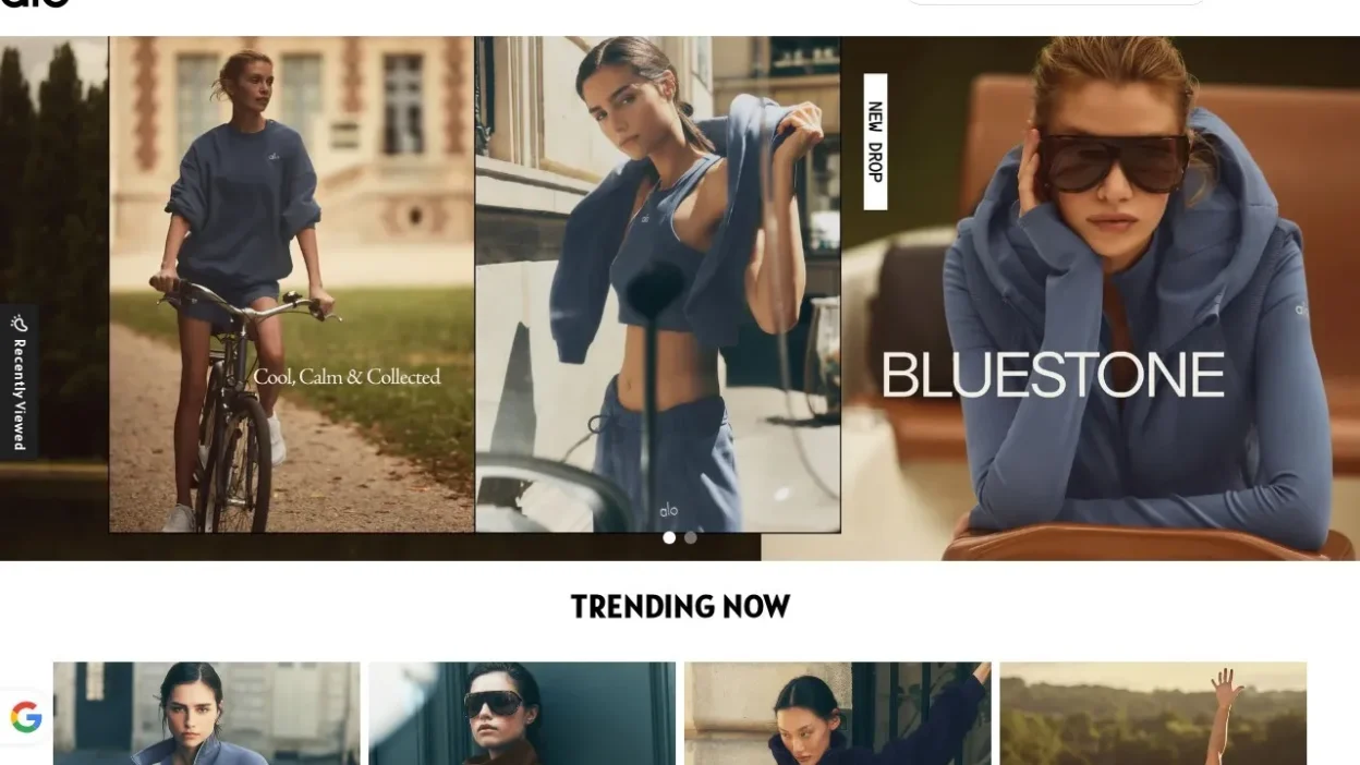 Fashion Scam alo-store.shop