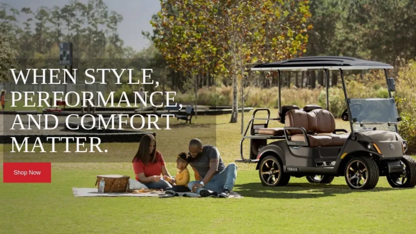 Automobile Scam castellanosgolfcarts.com