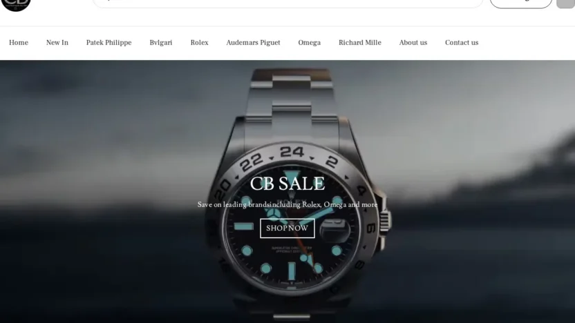 Fashion Scam cbluxurywatch.shop