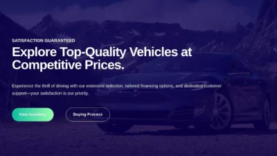 Non-Delivery Scam chapaautossales.com