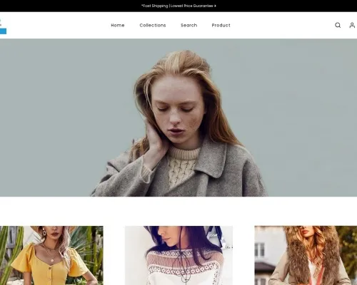 Screenshot of Fashion Scam website 21063