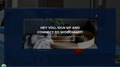 Non-Delivery Scam europevwparts.com