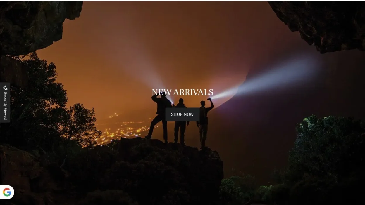 Non-Delivery Scam fenixlighting-store.shop