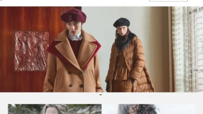 Fashion Scam hernovip.com