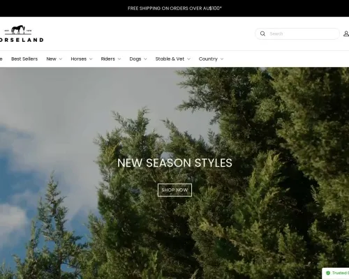 Screenshot of Fashion Scam website 19907