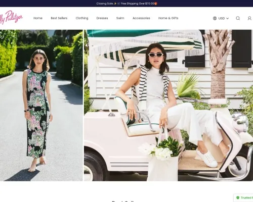 Screenshot of Fashion Scam website 20697