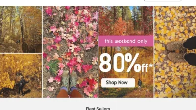 Fashion Scam merrellusonline.shop