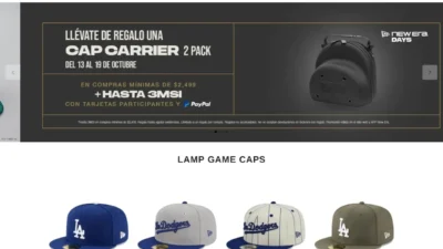 Fashion Scam newcapinnmex.shop