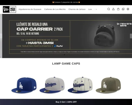 Screenshot of Fashion Scam website 20591