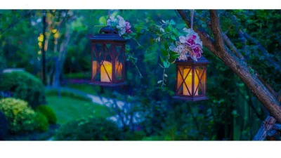 Non-Delivery Scam nzbzyes.com