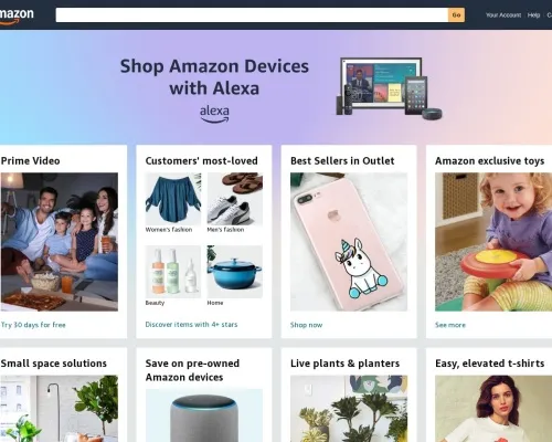 Screenshot of Non-Delivery Scam website 20215