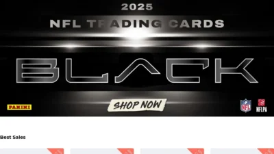 Non-Delivery Scam panini-wh.shop